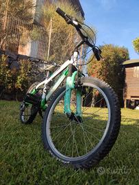 Bicicletta Mountain Bike Montana