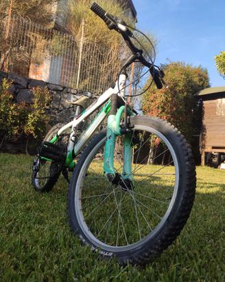 Bicicletta Mountain Bike Montana