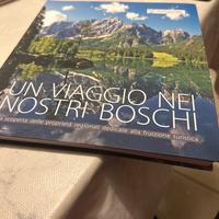 Un viaggio nei nostri boschi