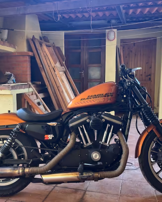 Harley Davidson Sportster 883 Roadster