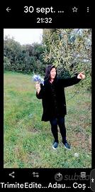 Badante-assistenza anziana