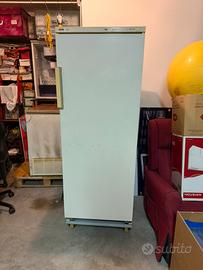 Congelatore verticale Ignis
