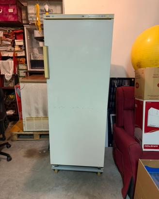 Congelatore verticale Ignis