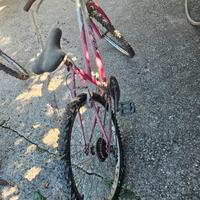  n.2 biciclette mountain bike