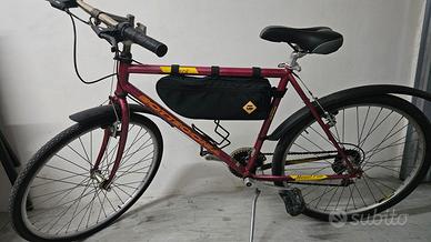 Bicicletta Bottecchia