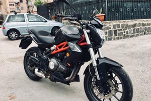 Benelli bn 302 (28-12-2016)