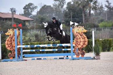 Wonderwall Del Tiglio