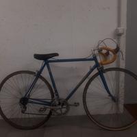 Colnago sport