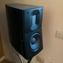 Diffusori Raidho D1