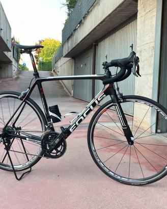 Focus Izalco