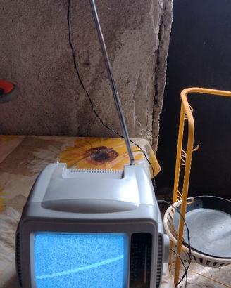 TV portatile con radio 