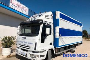 IVECO  EUROCARGO 75E15 TRASPORTO CAVALLI-ANIMALI V