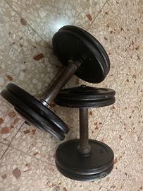 coppia di manubri 10 kg