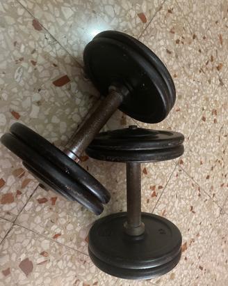 coppia di manubri 10 kg