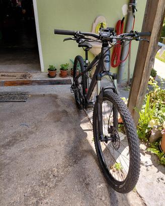 Atala