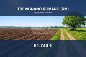 Immobile in asta di 114275 m² a Trevignano Romano