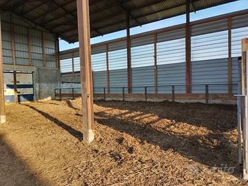 Stalla e postazione tende aduata alpini