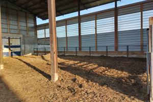 Stalla e postazione tende aduata alpini