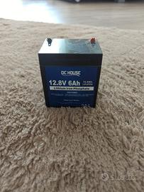 batteria LIFEPO4 12.8v