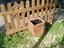 Immagine 3