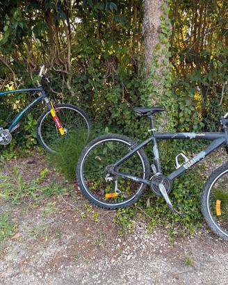 biciclette 