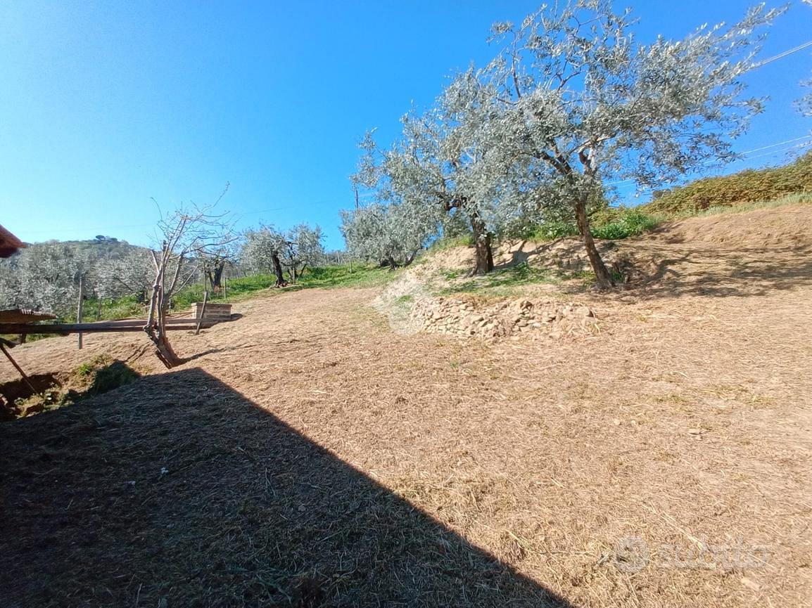 RUSTICO A OLEVANO ROMANO - Vista 2