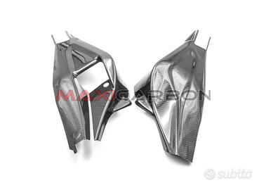 Cover forcelllone int carbonio BMW S 1000 RR 2019