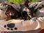 Immagine 3