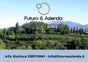ristorante-sulle-colline-moreniche
