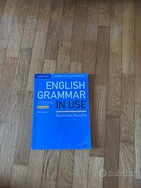 English grammar in use