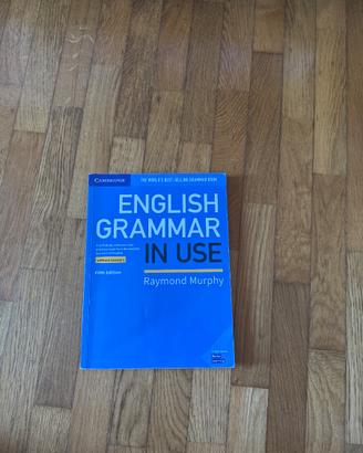 English grammar in use
