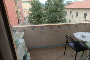 Camera singola in appartamento condiviso