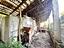 Immagine 26
