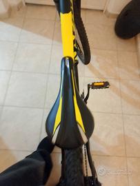 bicicletta atala