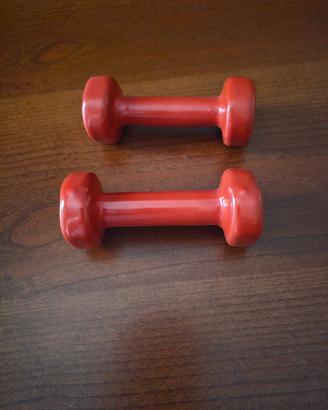 N. 2 Attrezzi da palestra kg 1 cadauno 