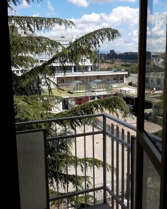 Posto letto in camera singola