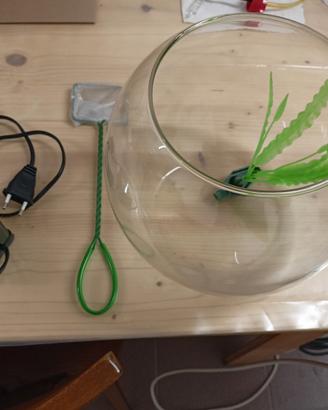 boccia per pesce