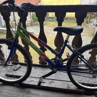 Bicicletta Mountain Bike Topbike 240 Y da ragazzo