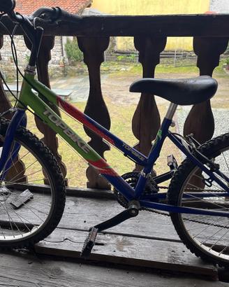 Bicicletta Mountain Bike Topbike 240 Y da ragazzo