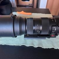 Sigma 150-600 Sport X Nikon