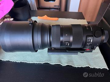 Sigma 150-600 Sport X Nikon