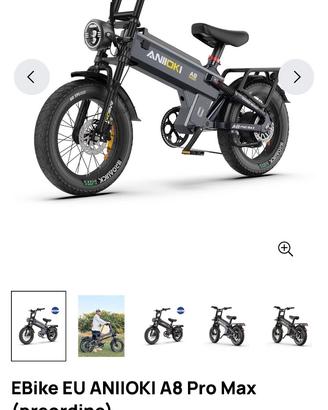 Bici elettrica 