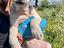 Immagine 6