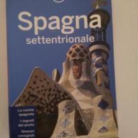 Guida Lonely Planet Spagna Settentrionale 