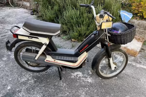 Motorino Atala Idea