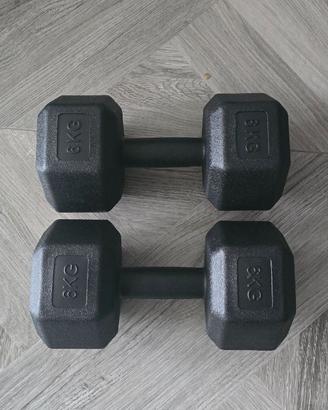 Pesi dumbell 6 kg