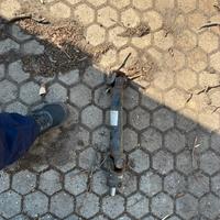 Albero di trasmissione porter 1.3
