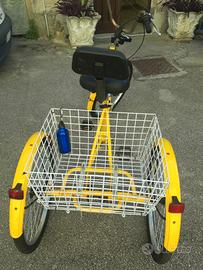 bicicletta triciclo per adulti con portapacchi