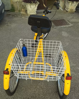 bicicletta triciclo per adulti con portapacchi