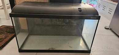 Askoll ambiente 100l - Acquario